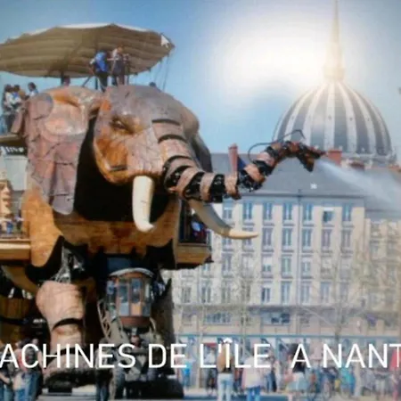 Apartment Maison Au Calme Au Coeur Du Vignoble Nantais *